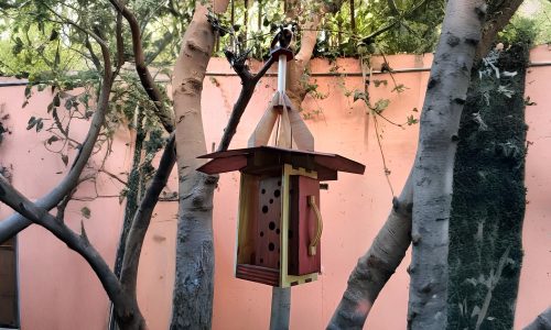 WhatsApp-Image-2025-07-08-at-9.13.01-PM-1