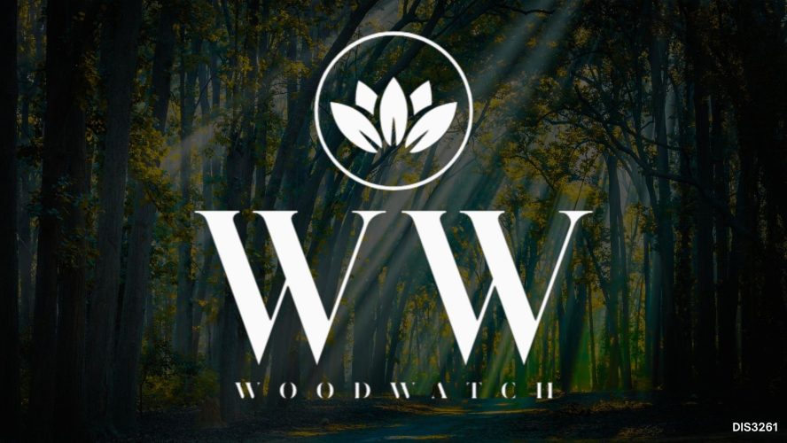 WoodWatch-Examen