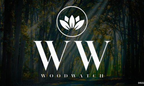 WoodWatch-Examen
