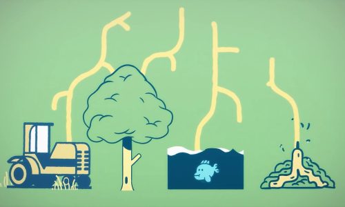 bioeconomy