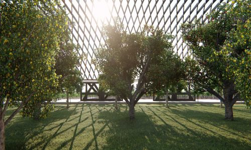 bosque frutal formato