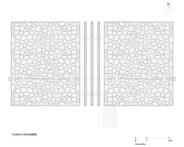 buchupureo-planta-techo