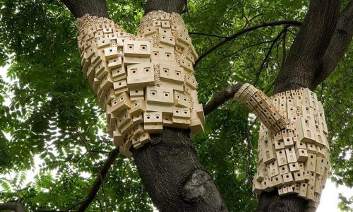 casa de pajaros Reino Unido