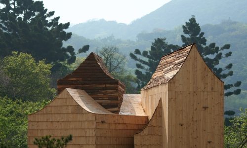 casa pajaros