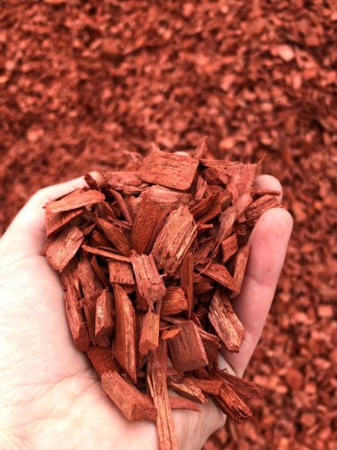 cd66ca01-618e-45f3-bc7f-3a6add6fdfc3