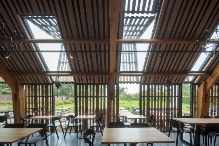 centro de visitantes (5)