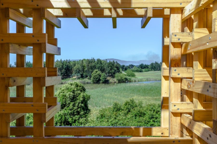 dos torres y un sendero (3)