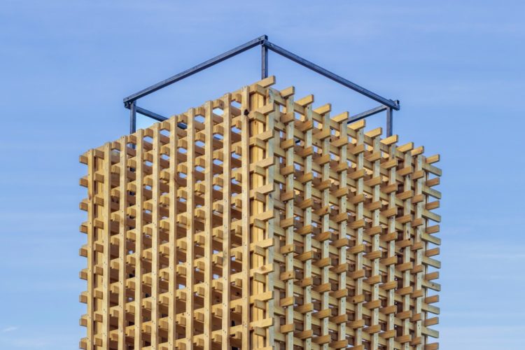 dos torres y un sendero (4)