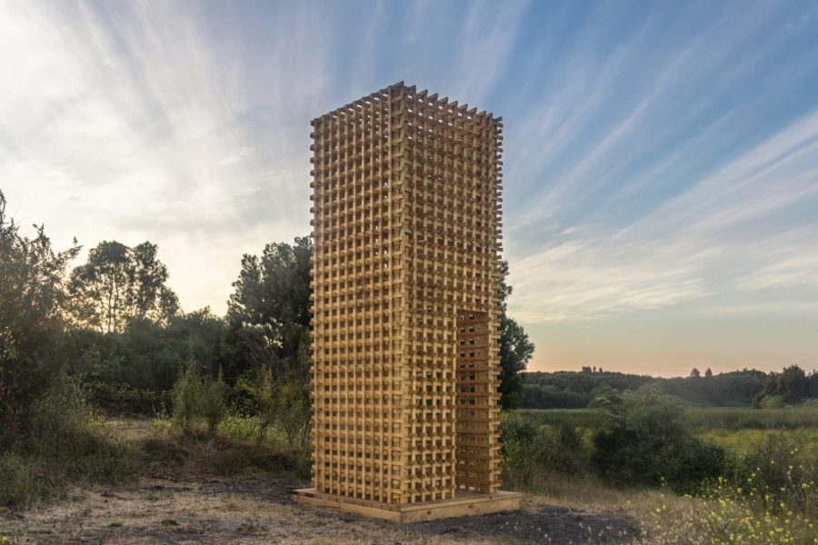 dos torres y un sendero (7)