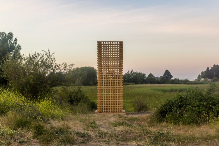 dos torres y un sendero (8)