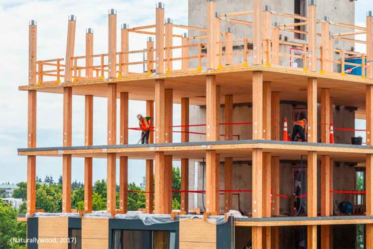 e)-Imagen-galeria-2 (ING1184)