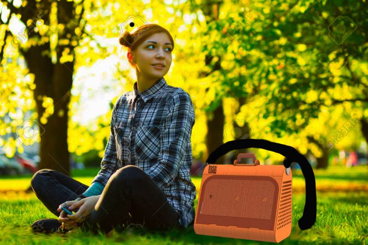 Young woman sitting on grass in park