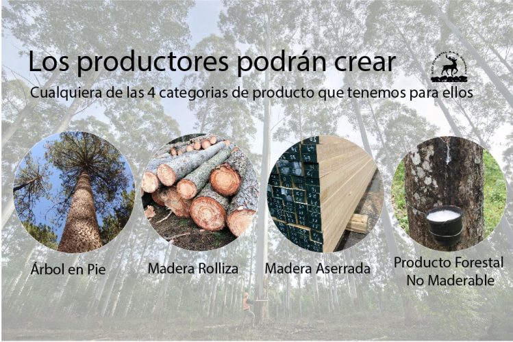 imágenes de proyecto-02