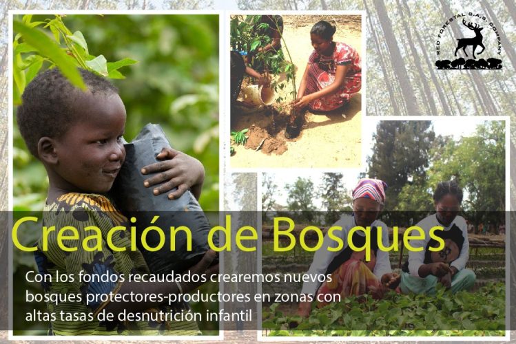 imágenes de proyecto-03