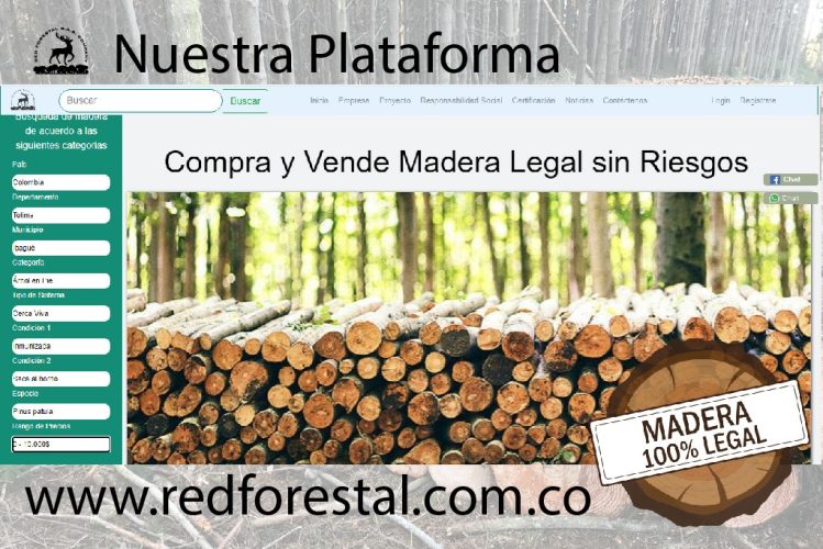 imágenes de proyecto-04