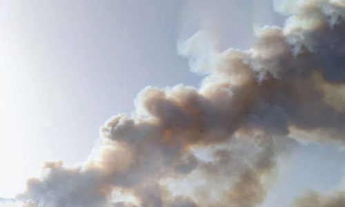 imagen-principal_page-0001