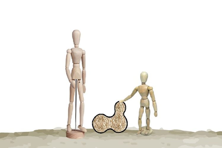 imagen rincial afibro 2.0