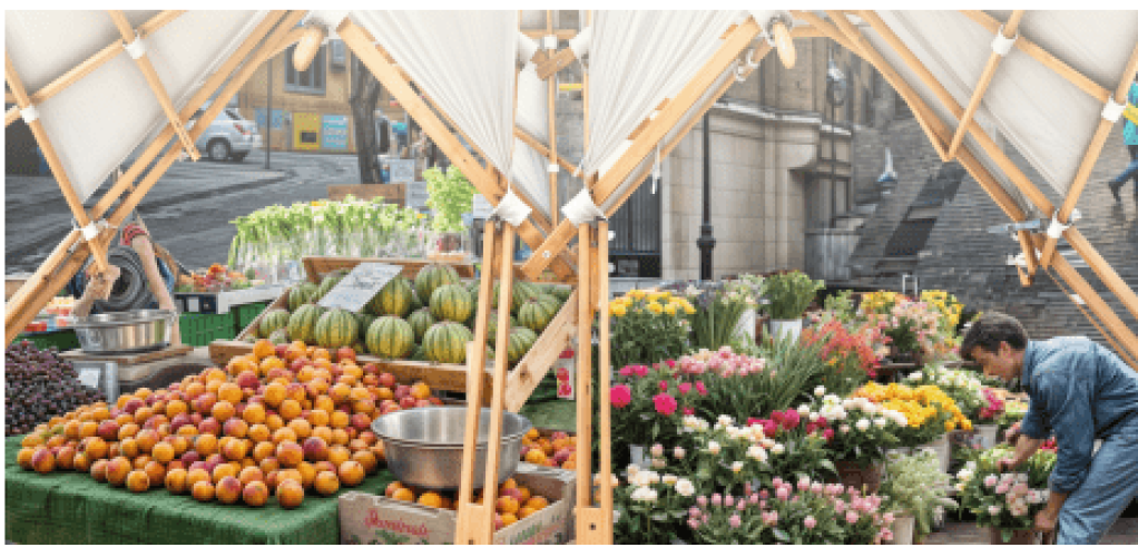 imagen_2025-08-04_235721926