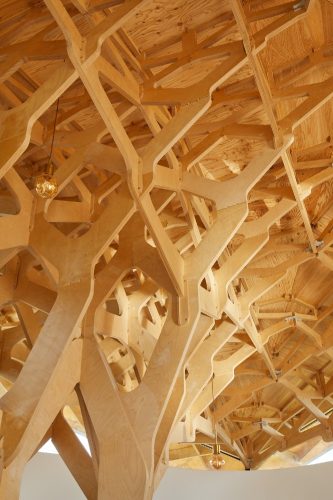 la casa de los tres arboles 10