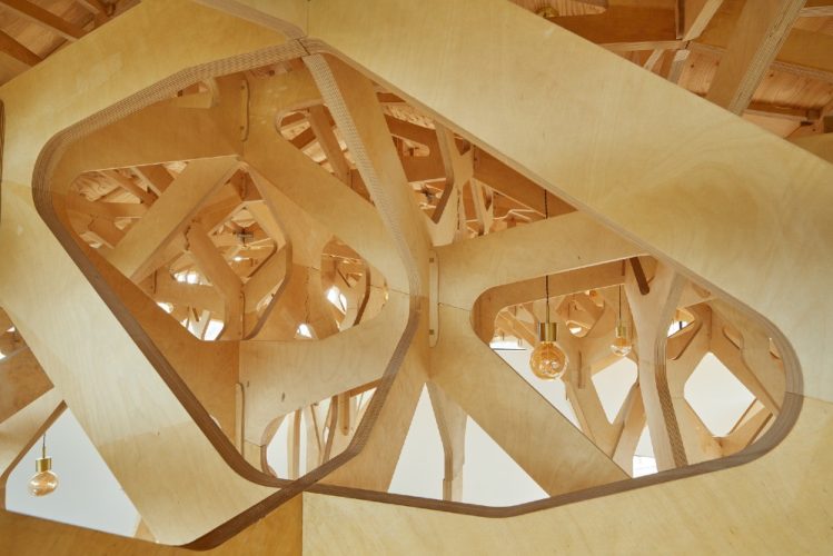 la casa de los tres arboles 7