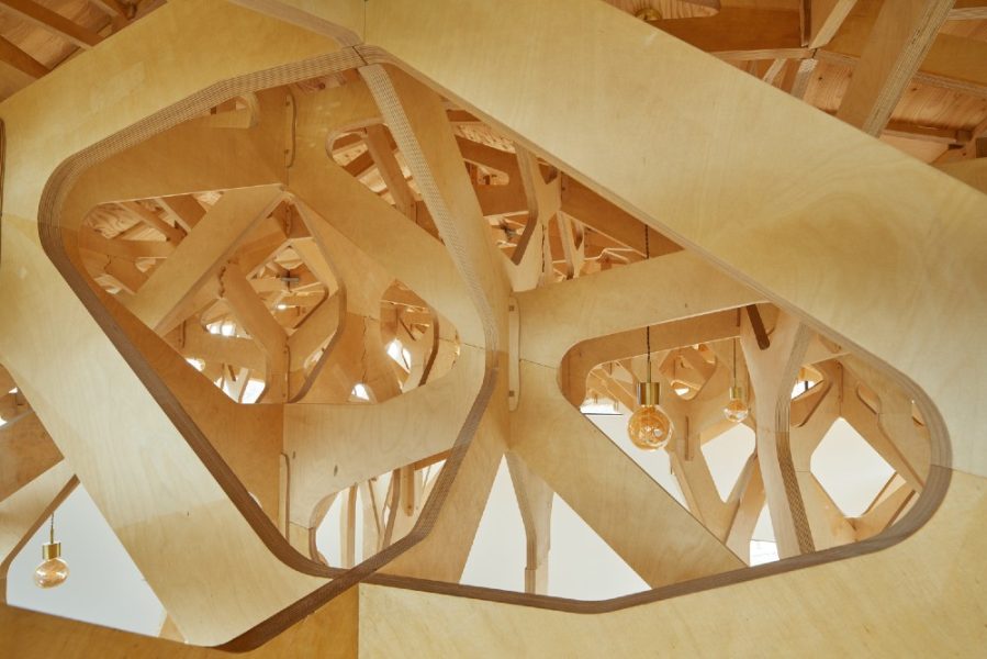 la casa de los tres arboles 7