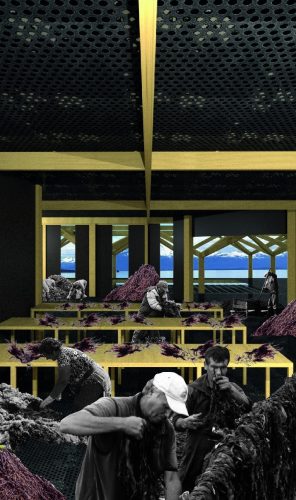 lamina 3.3_page-0001