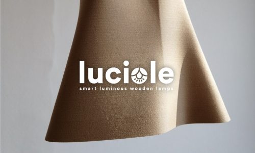 luciole.001