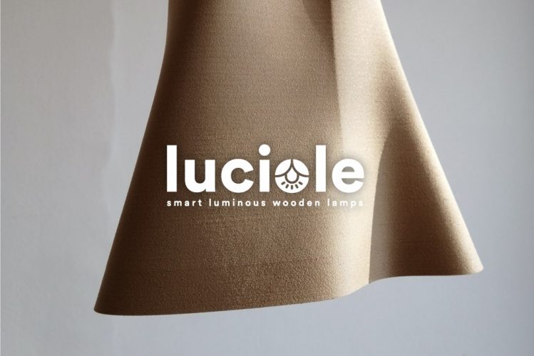 luciole.001