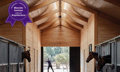 msporthorses_1