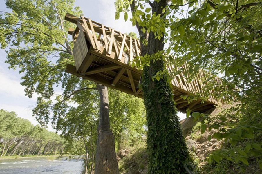 observatorio-mfg-in02