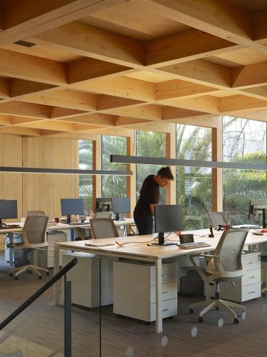 [©(c)Roland Halbe; Veroeffentlichung nur gegen Honorar, Urhebervermerk und Beleg / Copyrightpermission required for reproduction, Photocredit: Roland Halbe]