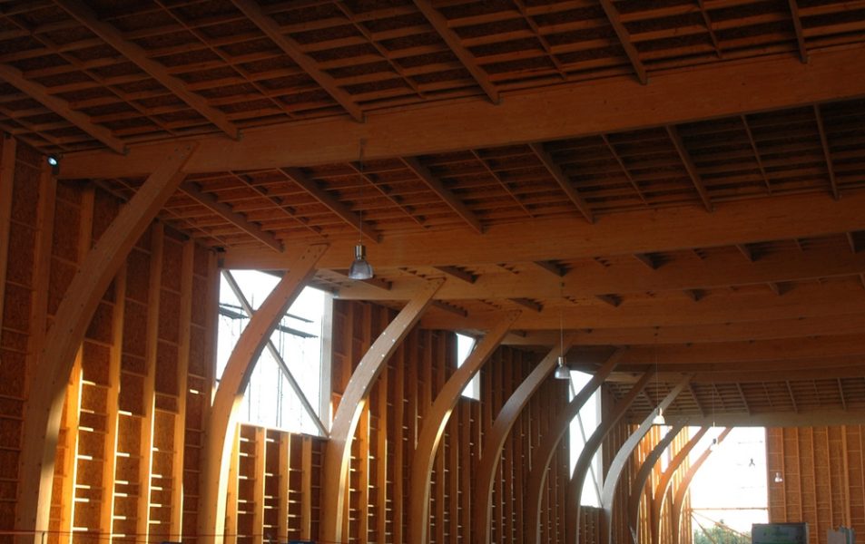 packing-greenwich-11