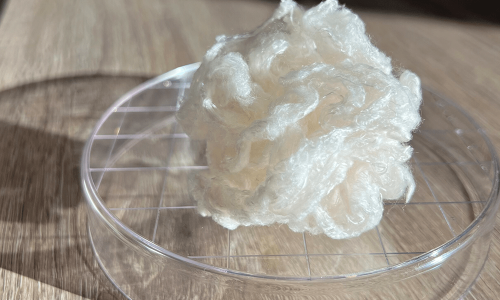 portada-CMPC-Ventures