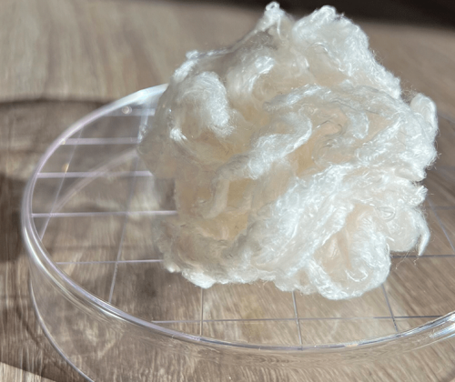 portada-CMPC-Ventures