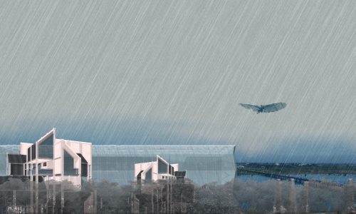 render