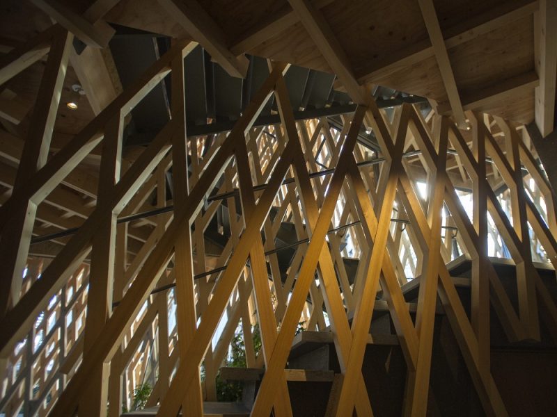 sunnyhills10 ALESSIO GUARINO