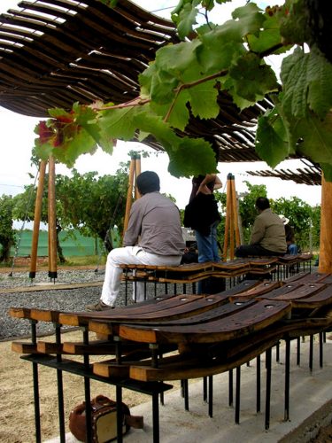 vinedos-07