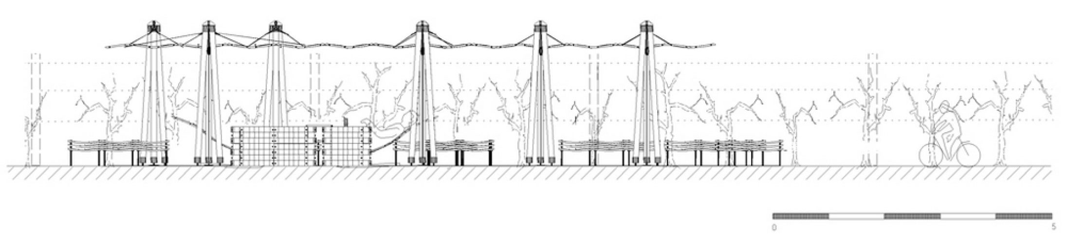 vinedos-plan-03