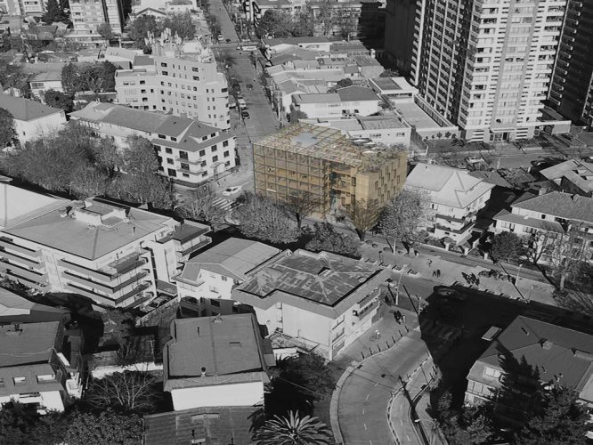 vuelo pajaro vista corma final